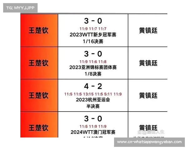 鹰眼系统故障致比赛中断107分钟 创下赛事历史最长停赛纪录